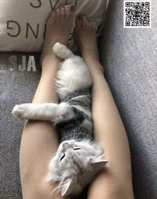 殴亚乱色熟一区二区三四区_4K在线观看高清