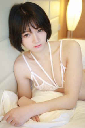 茄子视频高清在线观看_超清免费在线播放