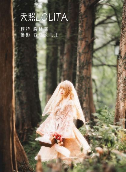 免费又猛又爽又黄的毛片_HD免费观看超清